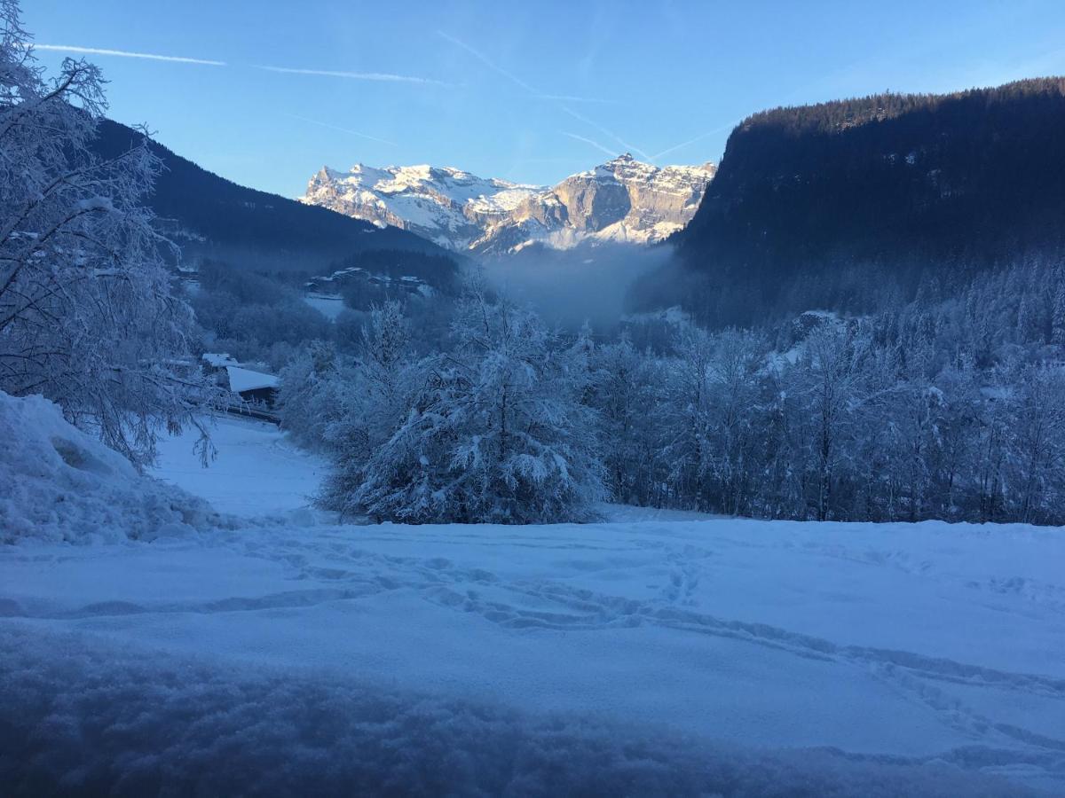 Vallee De Chamonix Au Pied Des Pistes Ле Уш Екстериор снимка